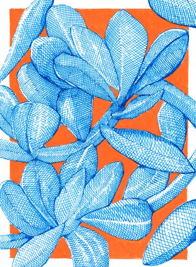 Vibrant Botanical Pop by Katie O'Shea