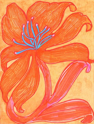 Vibrant Orange Lily by Katie O'Shea