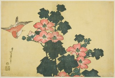 Cotton Roses and Sparrow, from an Untitled Series of Large Flowers by Katsushika Hokusai