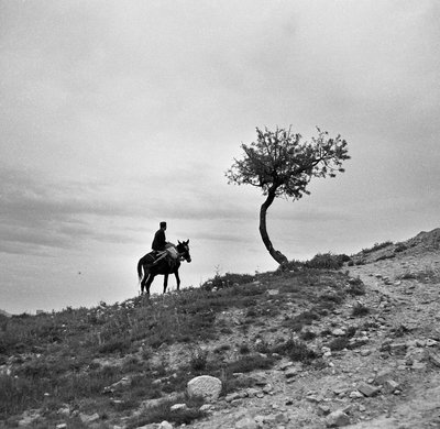 Peasant Returning from the Fields, Rides a Mule by Alec Hunter