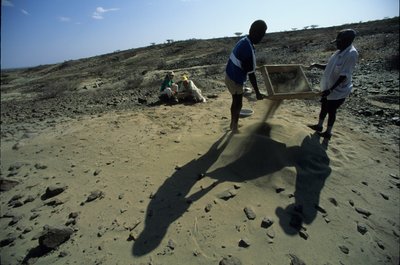 Allia Bay, Kenya; Turkana; Sifting for Fossils, Alan Walker, Pennsylvania State University by Kenneth Garrett