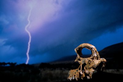 The First Steps, Broken Skull, STW 847, Lightning, High veld, Swartkrans, South Africa by Kenneth Garrett