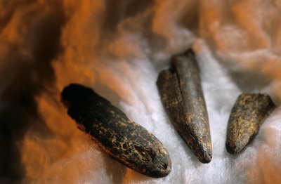 Sharpened Bone Points Used for Digging, From Drimolean Site, Near Johannesburg, South Africa by Kenneth Garrett
