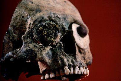 Skull with Filed Teeth, Aztec, Mexico, Templo Mayor, 2010 by Kenneth Garrett
