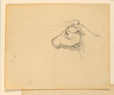 Study for 