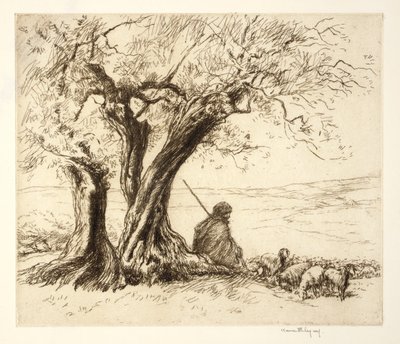 Goatherd, Algeria by Kerr Eby