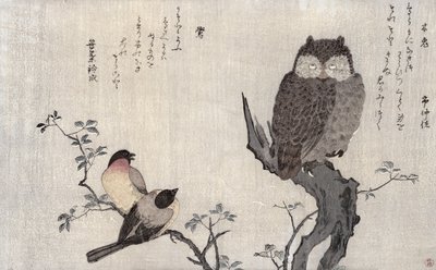 An Owl and two Eastern Bullfinches, from an album 