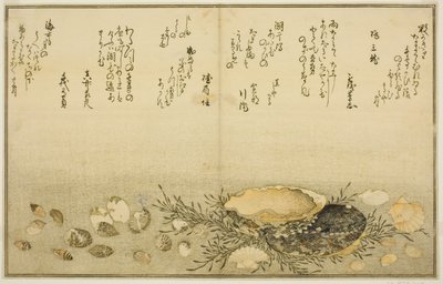 Chidori-gai, itaya-gai, awabi, utsuse-gai, asari-gai, and monoara-gai, from the illustrated book "Gifts from the Ebb Tide" by Kitagawa Utamaro