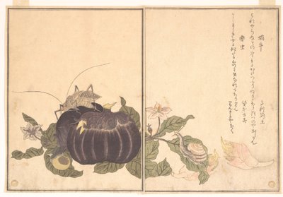 Land Snail (Katatsumuri); Giant Katydid (Kutsuwamushi), from the Picture Book of Crawling Creatures by Kitagawa Utamaro