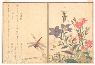 Red Dragonfly; Locust, from the Picture Book of Crawling Creatures by Kitagawa Utamaro