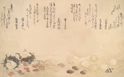 Shells under Water by Kitagawa Utamaro