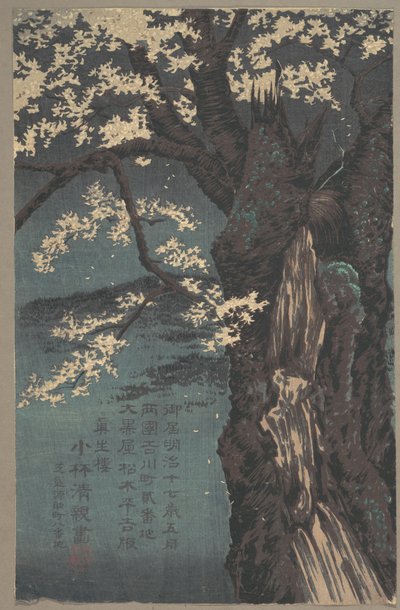 Cherry Tree by Kobayashi Kiyochika