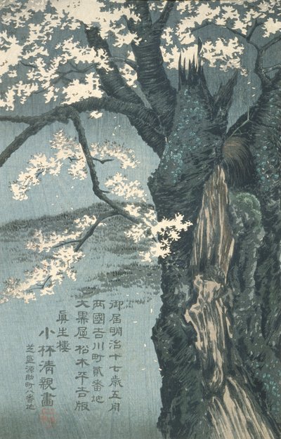 Warrior Taira no Tadanori about to Sleep under a Cherry Tree by Kobayashi Kiyochika