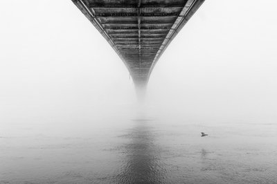 Misty Bridge and Bird by Krunoslav Nevistic
