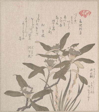Daphne odora and Mojisuri-so by Kubo Shunman