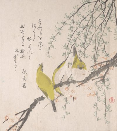 Japanese White-eyes with Plum Tree and Willow by Kubo Shunman