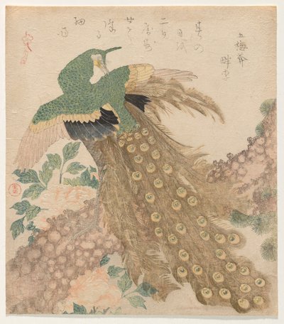 Of Three Pieces [Peacock] by Kubo Shunman