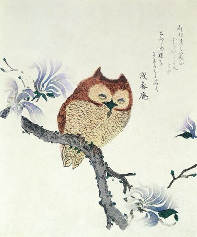 Owl on a Magnolia Branch by Kubo Shunman