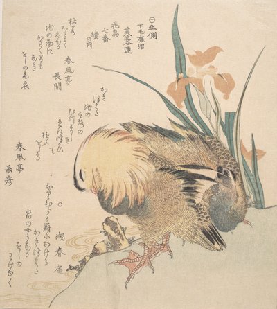 Pair of Mandarin Ducks and Iris Flowers by Kubo Shunman
