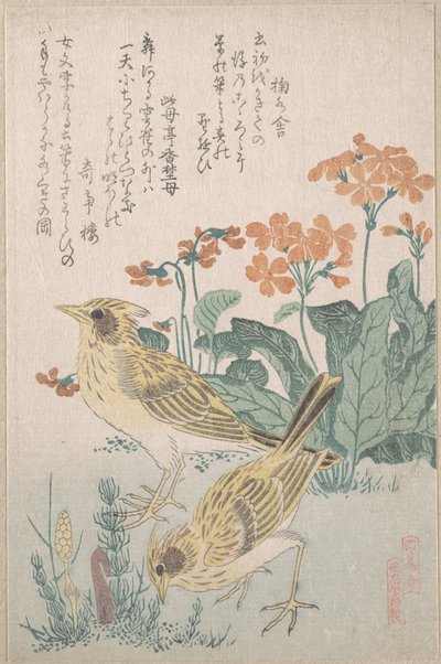 Skylarks and Primroses, from the Series An Array of Birds, from Spring Rain Surimono Album by Kubo Shunman