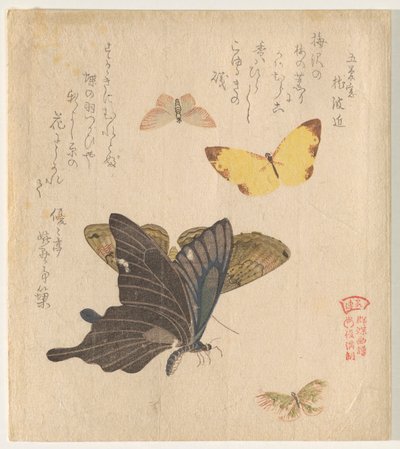 The Painting Manual of Flock of Butterflies (Guncho? Gafu) by Kubo Shunman