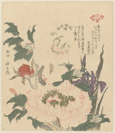 Peonies and Irises by Kubota Shunman