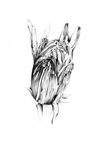 Adorned Botanical Hand by Kulik