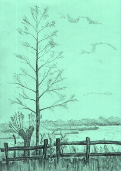Bare Tree Landscape by Kulik