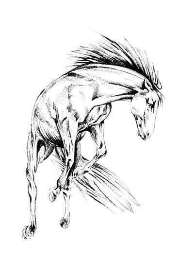 Dynamic Wild Horse by Kulik