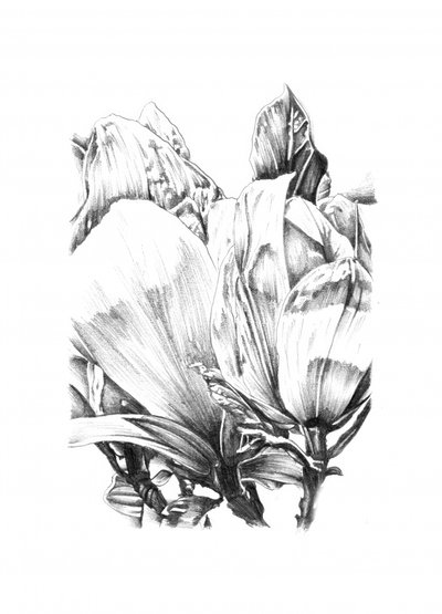 Elegant Floral Study by Kulik