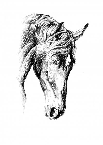 Elegant Horse Drawing by Kulik