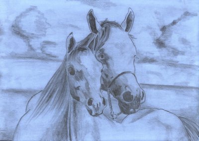 Gentle Horse Bond Sketch by Kulik
