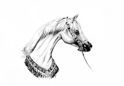 Horse Art Drawing Sketch 16 by Kulik
