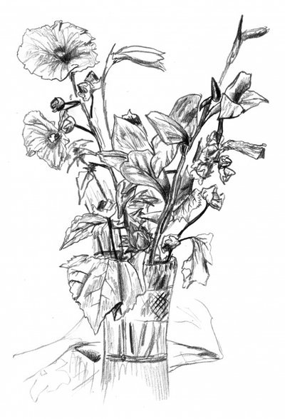 Pencil Floral Still Life by Kulik