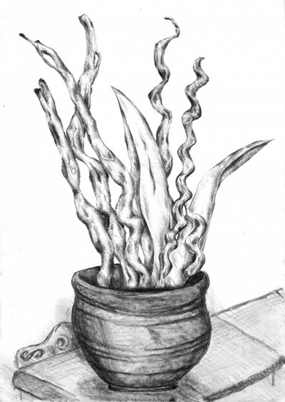Potted Plant Still Life by Kulik