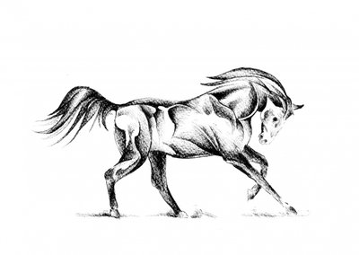 Stylized Horse Drawing by Kulik