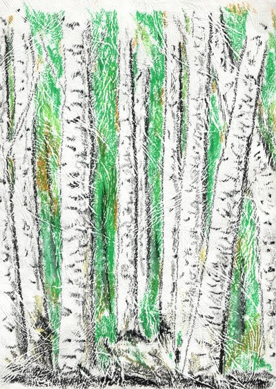 Vibrant Birch Forest by Kulik