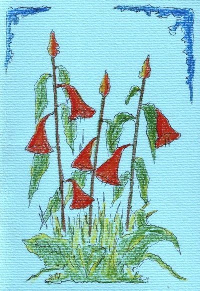 Vibrant Red Bell Flowers by Kulik