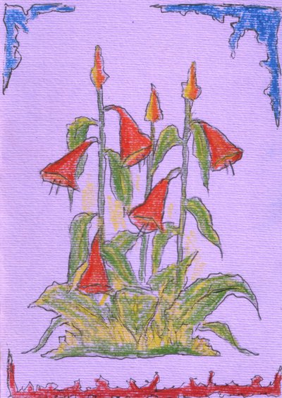 Vibrant Red Blooms by Kulik