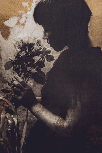 Quiet Rose Moment by Kurosaki Sangan