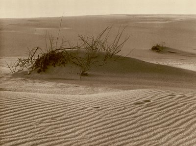 Shifting Dune on the Kurisches Sand-Spit in the North of Rossitten by Kurt Hielscher