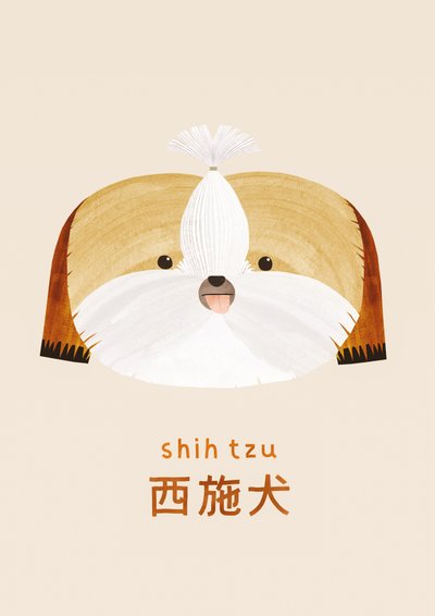 Shih Tzu by Léa Le Pivert