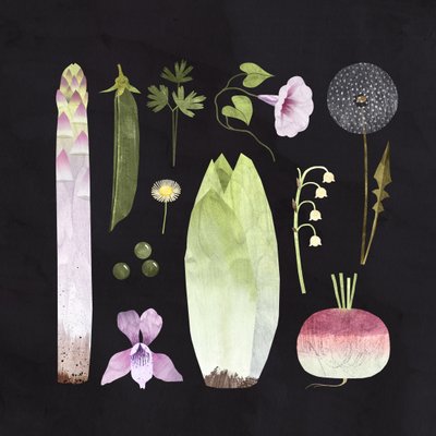 Veggies and Blooms by Léa Le Pivert