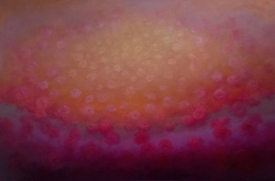 Rapture in Rose, 2025 by Lee Campbell