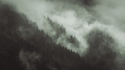 Tangled, 2022 by Lee Cooper