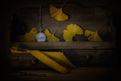 Golden Leaves and Time by Lenka
