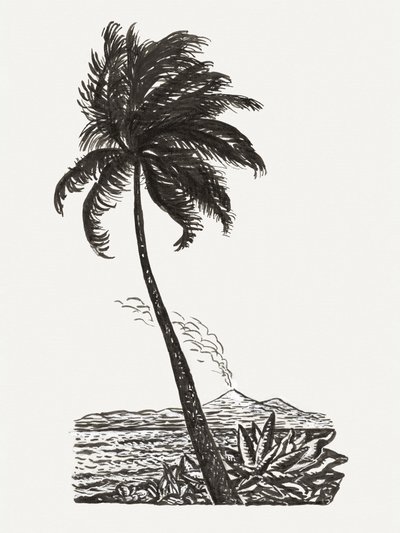 Palm Tree With an Island by Leo Gestel