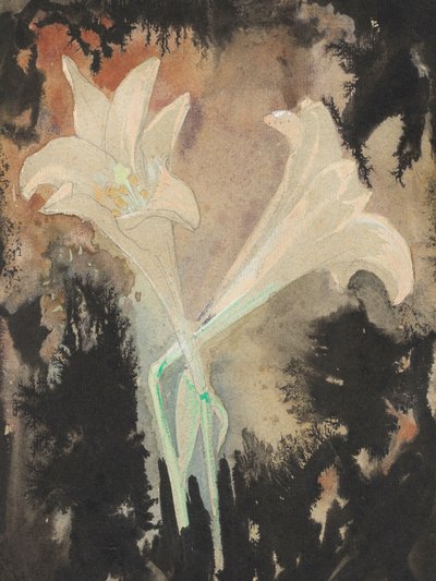 Two Flowers (1902) by Leo Gestel