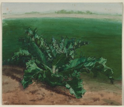 Study of a Plant, Possibly Thistle by Léon Bonvin