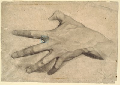 Study of a Hand, 1881–92 by Leon Dabo